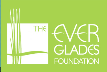 everglades foundation